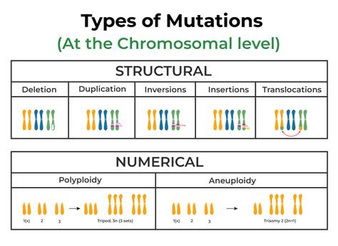 Mutation .